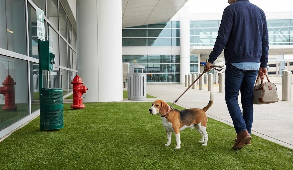 PhotoshopExtension_Image